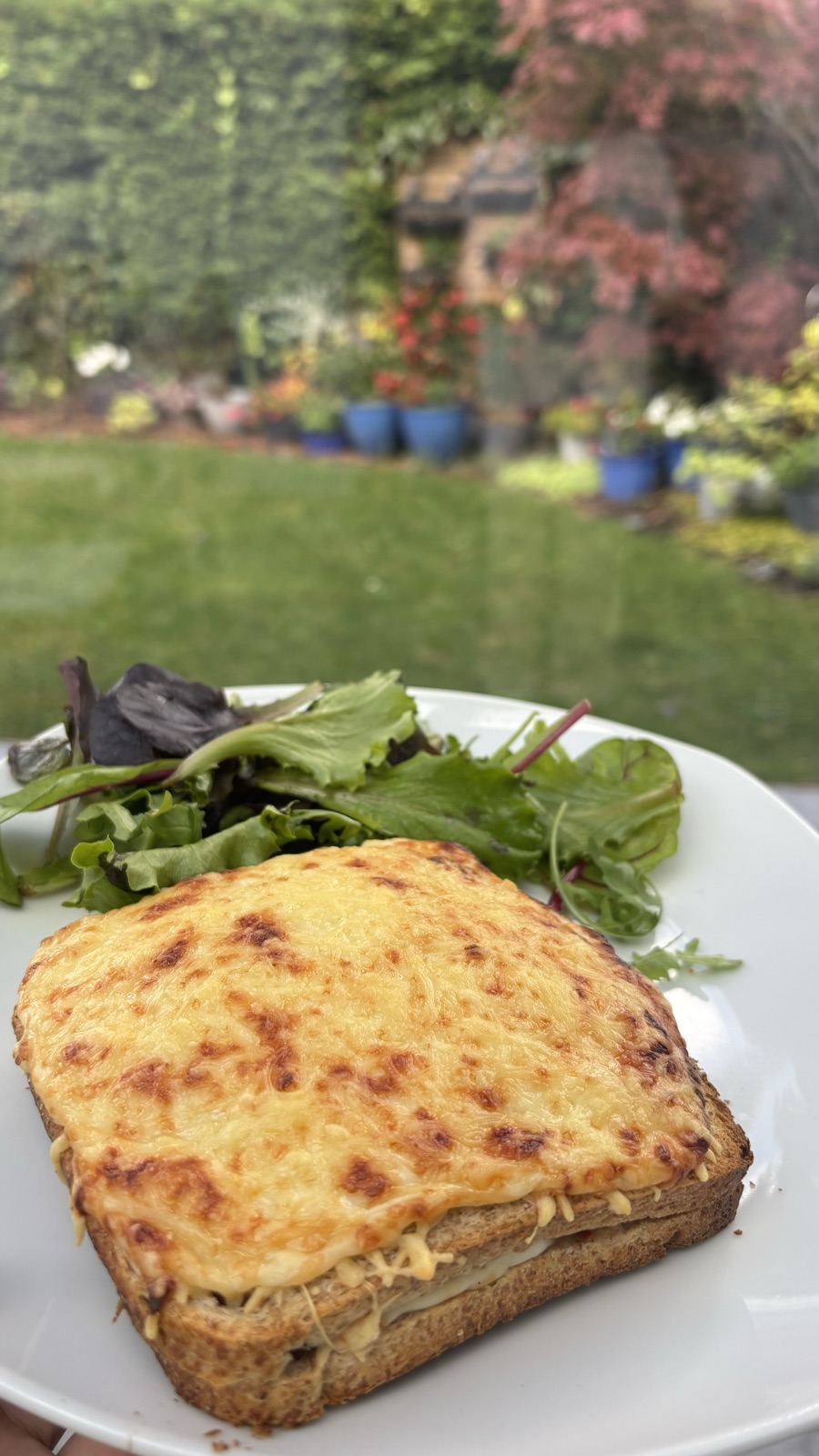 Croque Monsieur